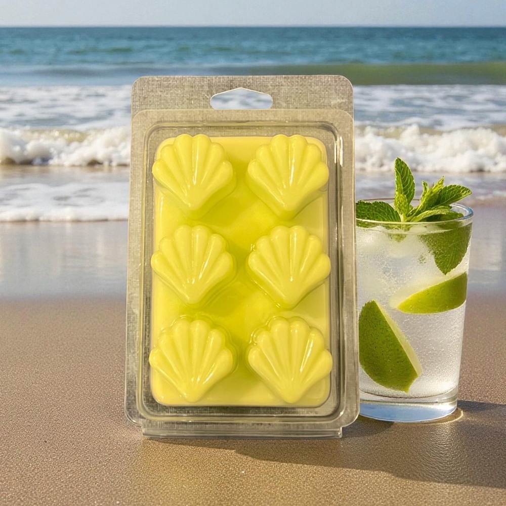 Hand Crafted “Sparkling Mojito” Scented Wax Melts - Coconut Soy Wax - Seashells